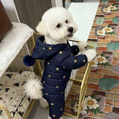 新品小狗衣服秋冬款保暖四脚棉服洋气比熊泰迪外出可保暖不掉毛