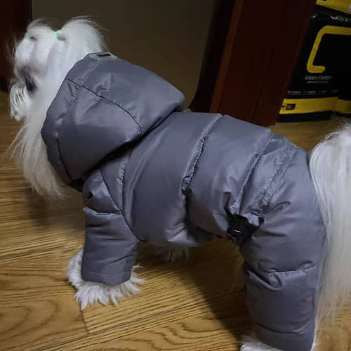 狗狗衣服冬季加厚四脚可爱宠物泰迪防寒比熊保暖秋款网红小狗棉服