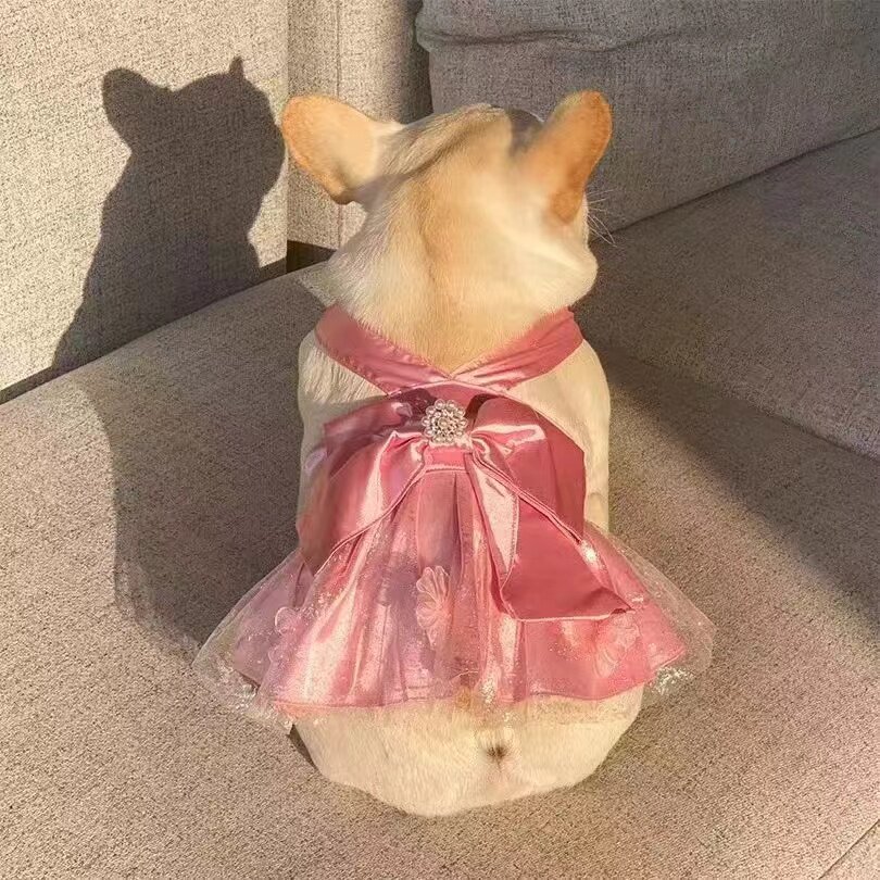法斗巴哥斗牛犬比熊博美衣服夏季宠物狗狗蕾丝吊带裙可爱公主裙子