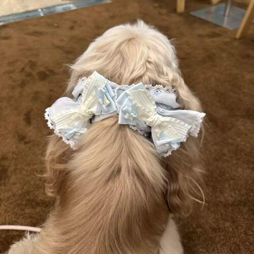 美卡耳套查理王头套史宾格防脏耳套可卡布耳朵通风耳套狗狗头套