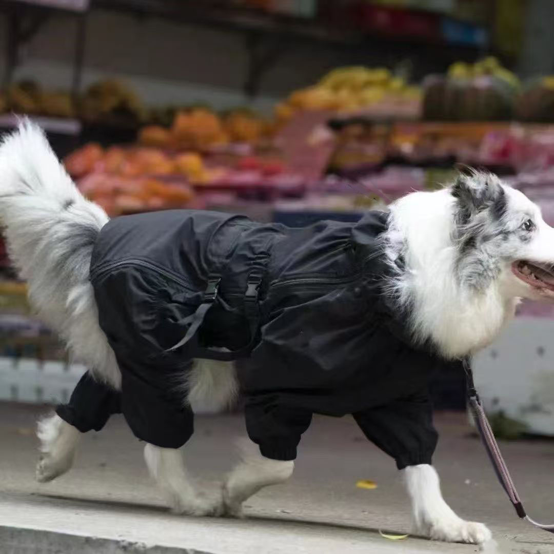 秋冬款大狗衣服帅气时尚衣服边牧拉布拉多金毛中大型犬保暖冲锋衣