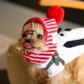 冬日毛孩美拉德狗狗猫咪宠物圣诞装 帽子手工编织毛线可爱过年装 扮