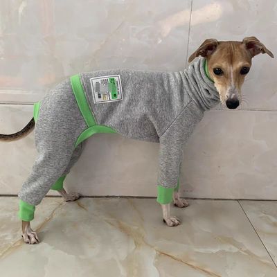 大狗衣服秋冬狗狗金毛宠物拉布拉多春秋比特大型犬贝灵顿四脚打底