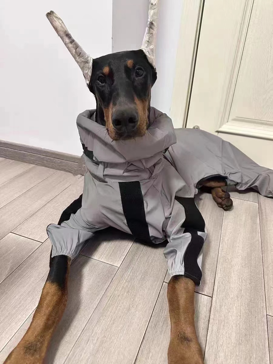 秋冬款宠物衣服四脚连体衣萨摩耶拉布拉多金毛中大型犬帅气冲锋衣