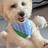 新品 宠物口水巾可调节双面狗狗三角巾口水围兜宠物衣服配饰围嘴