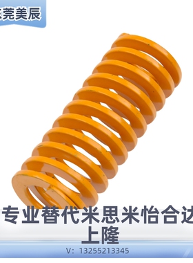 SWL10-8/12/14/16/20/18/25/22/30/40/35/50/60矩形弹簧YSWL-D