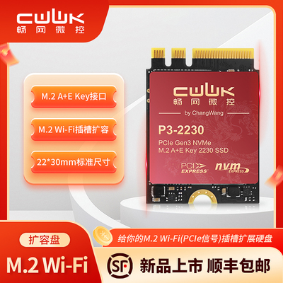 M.2WIFI接口NVMe固态硬盘