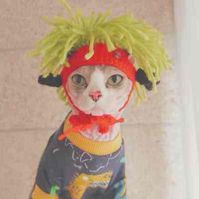 猫咪搞笑帽子无毛猫斯芬克斯头套狗狗德文朋克雷鬼摇滚风装饰变装