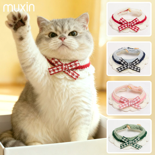 可爱猫猫就应该带可爱猫猫围脖