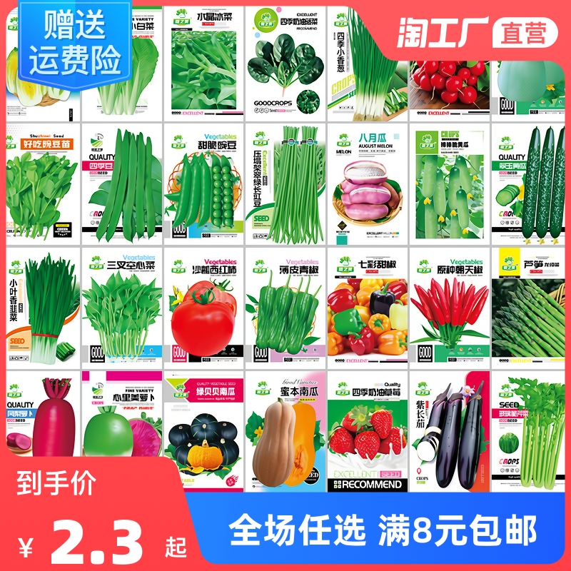 蔬菜种子四季播种阳台农家盆栽香菜菠菜生菜韭菜小葱草莓籽孑大全