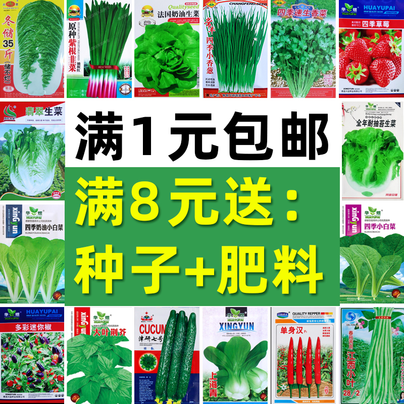 四季蔬菜种子阳台庭院易种植生菜黄瓜韭菜草莓香菜葱蒜小白菜种籽 鲜花速递/花卉仿真/绿植园艺 家庭园艺种子 原图主图