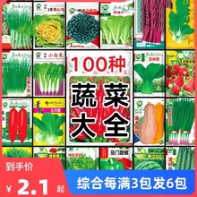 蔬菜种子四季播阳台盆栽庭院香菜萝卜小葱白菜菠菜西瓜种籽孑大全