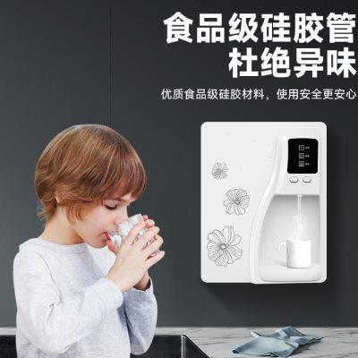 防干烧壁挂式管线机饮水机净水器加热器纯水机伴侣家用净水机专u.