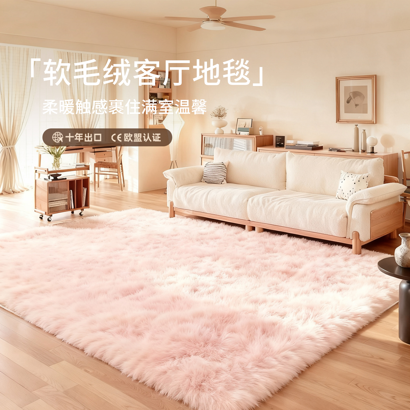 冬季毛绒地毯客厅奶油风加厚软毛毯地垫卧室床边毯直播间拍照垫子