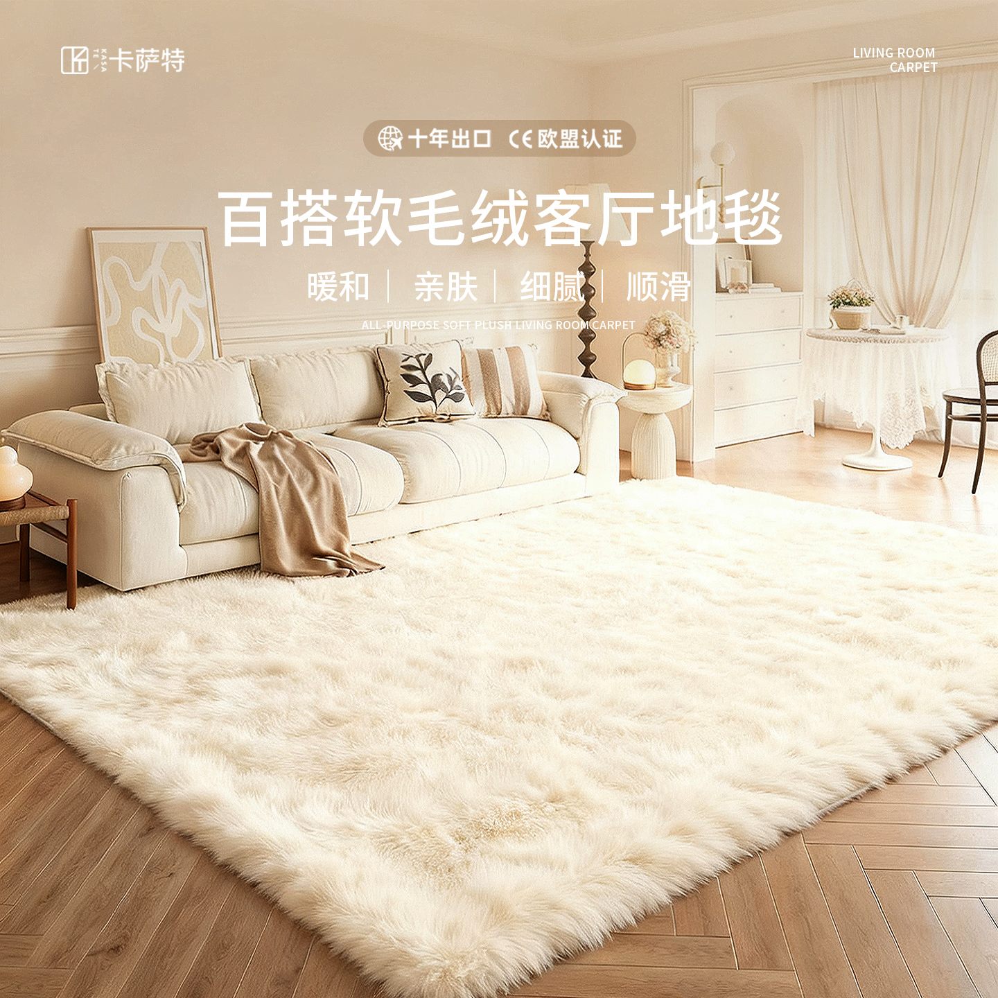 冬季ins风毛绒地毯客厅加厚房间卧室床边毯毛毯地垫子软现代简约