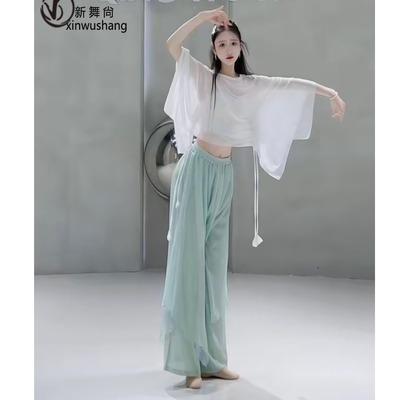 新款古典舞身韵飘逸宽松抽绳网纱罩衫上衣形体现代舞蹈练功服女