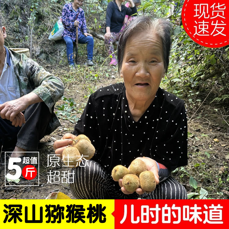 陕西秦岭山区绿心猕猴桃