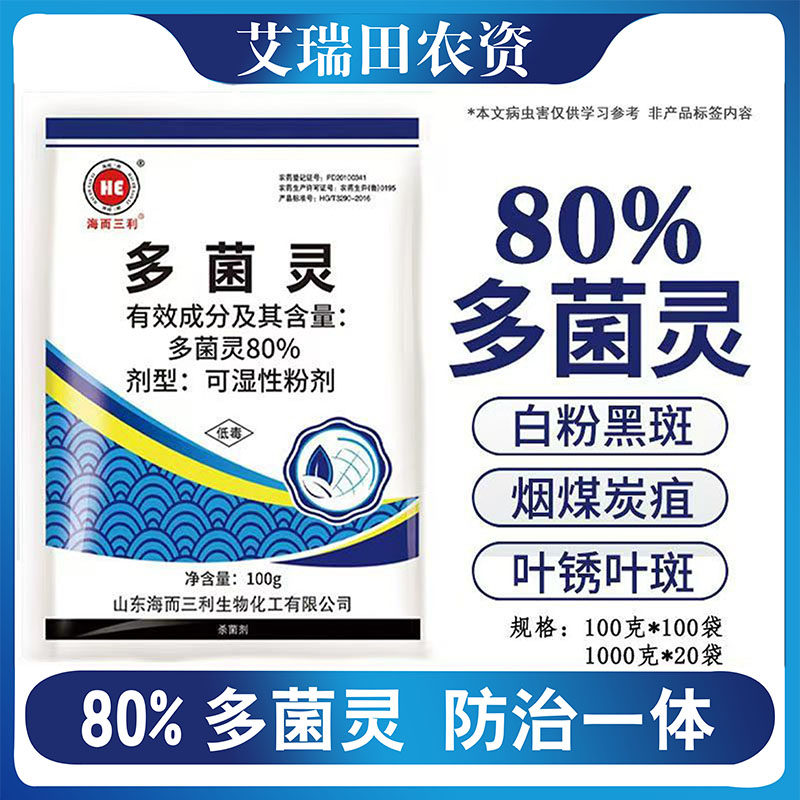 80%多菌灵粉剂炭疽病叶斑果树杀菌剂