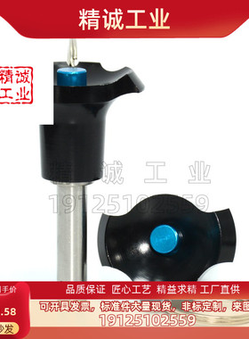 BLPL球头锁紧销顶出式快卸插销快拔销定位分度销伸缩安全销直径16