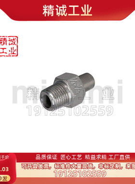 STUNPSS不锈钢接头异径接管STUNPS12/13/23/24/34/36/46/48/68