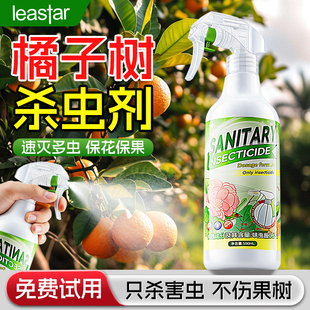橘子树杀虫剂非专用药桔除虫桔子树桔树治虫金桔虫子金钱桔灭柑橘