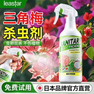 三角梅杀虫剂药除虫长虫蚜虫驱虫用药梅生去虫子虫害叶子虫非专用