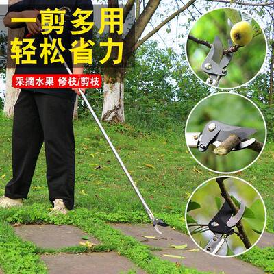 锈钢剪修剪摘果剪不刀长杆修用树枝专MQP剪刀加长果树空园艺枝刀