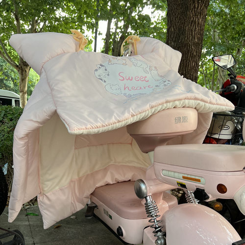 我的挡风被介么可爱~~