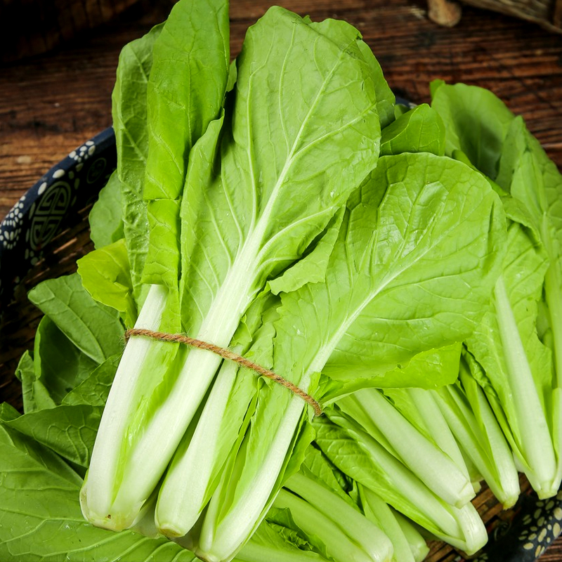 311甜脆小白菜种子耐热抗风雨