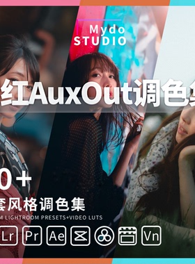 Vlog网红AUXOUT索尼唯美小清新日系旅拍Lut调色slog2/slog3/HLG