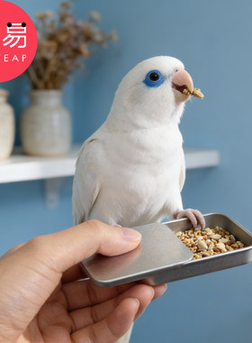 鹦鹉食盒A1pq808-推拉盒小铁盒便携迷你滑盖小收纳盒抽屉式糖果盒