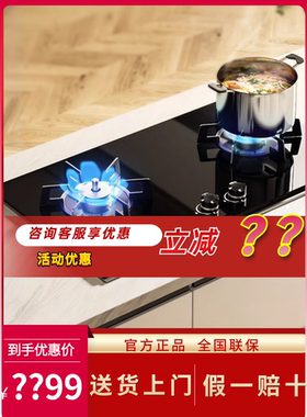林内燃气灶2WLGM定时防干烧
