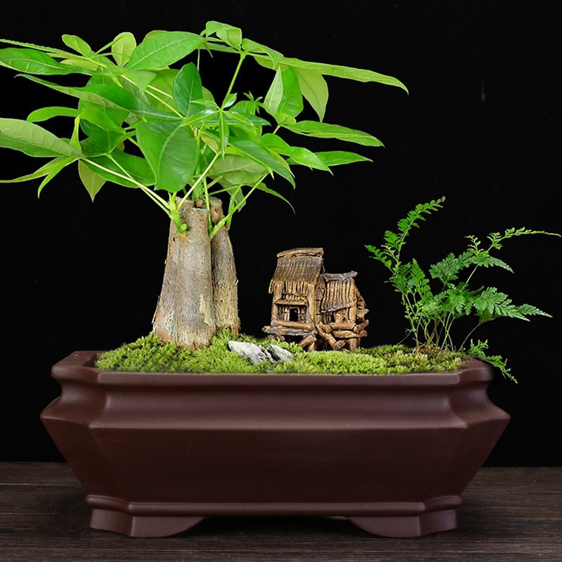宜兴紫砂精品花盆大口径盆景盆深花盆