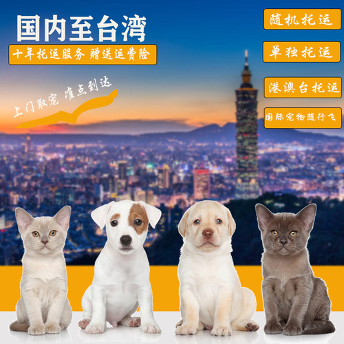 宠物托运上门取宠赠运费险