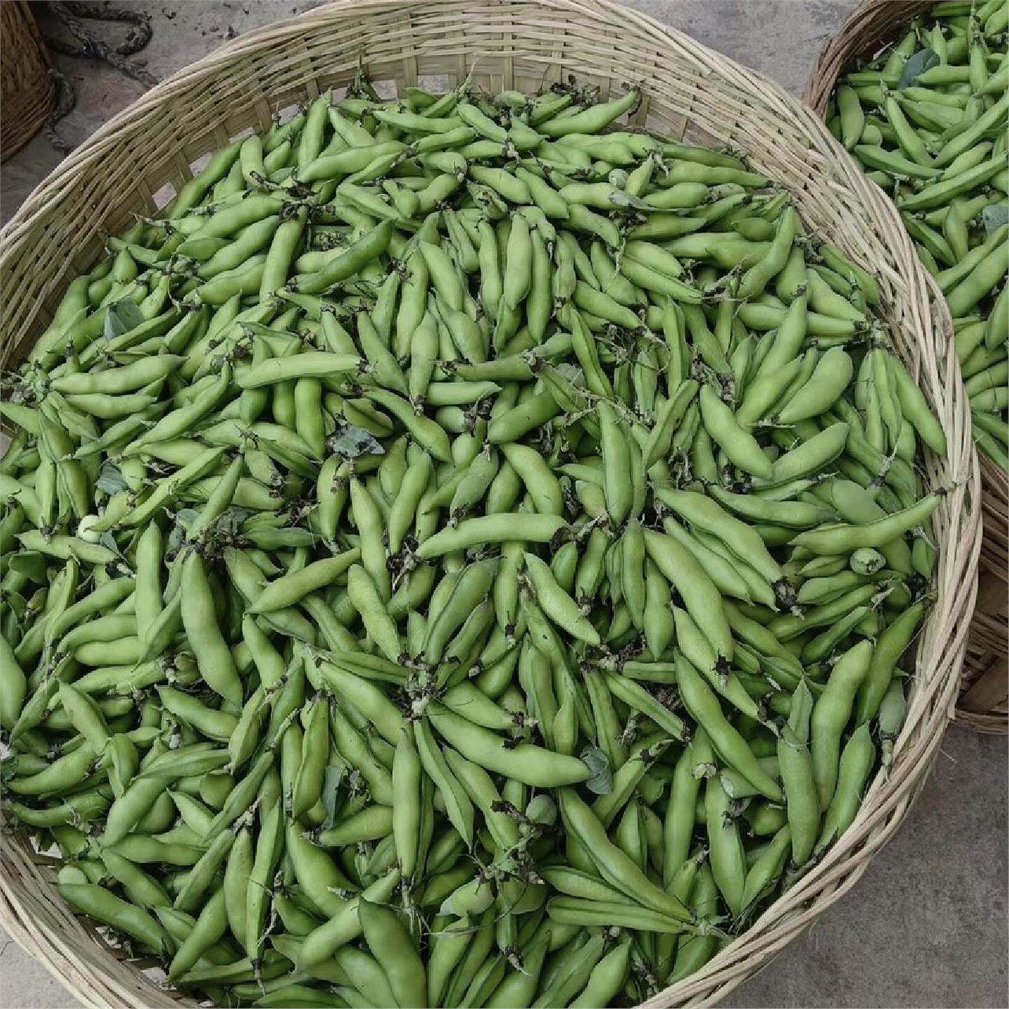 湖北农家新鲜生大绿心带壳蚕豆米新鲜豆类