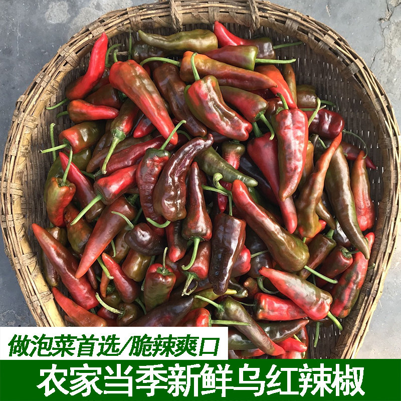 湖北农家自种露天土辣椒紫红辣椒鲜红辣椒乌红土辣椒做酱剁椒包邮