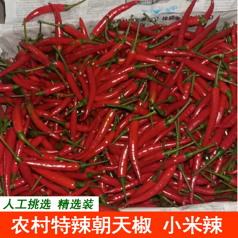 农村现摘新鲜小米辣椒人工挑选红辣椒指甜朝天椒泡椒特辣红小米椒