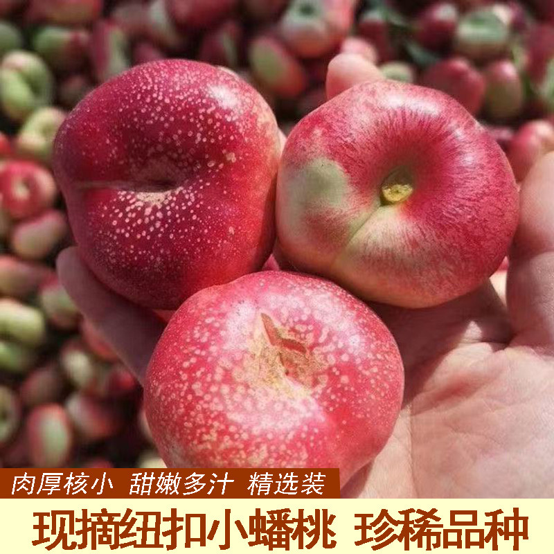 当季现摘扁桃果肉细腻新鲜纽扣红油蟠桃精选纽扣小油桃脆甜软桃子