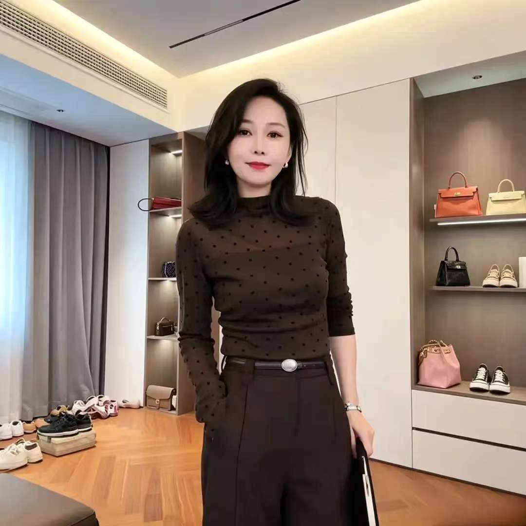 2026秋季新款巨好穿半高领网纱波点打底长袖T恤女时尚百搭上衣潮