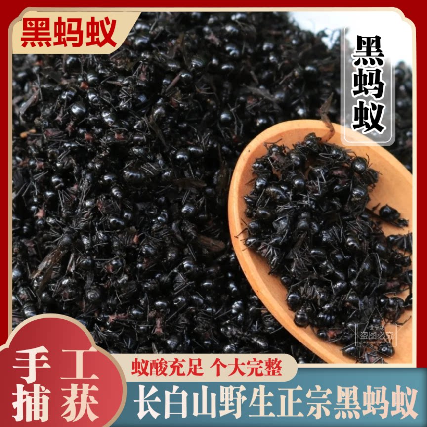 中药材长白山黑蚂蚁可食用野生无