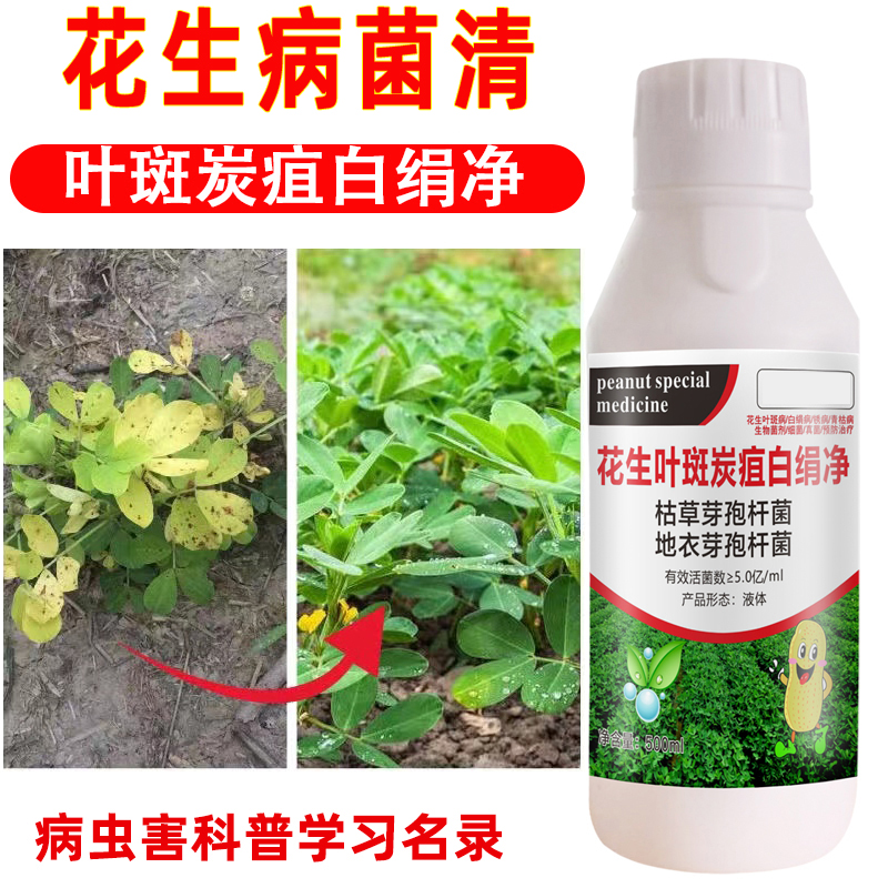 花生根腐病锈病青枯病叶斑白绢病