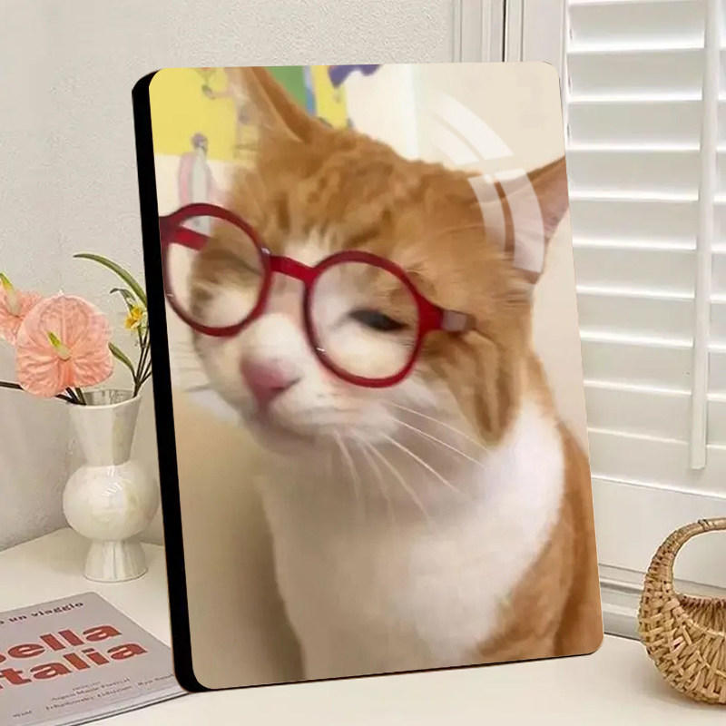可爱萌趣猫咪治愈系水晶相框摆台畅享悠闲日常客厅高颜值摆件