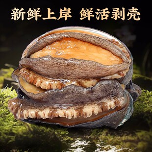 鲍鱼肉鲜活冷冻新鲜大号去壳冰鲜速冻小鲍鱼肉海鲜火锅食材去牙