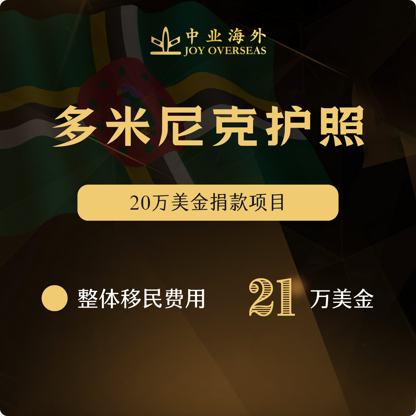 多米尼克护照移民小国护照圣卢西亚格林纳达护照加勒比护照