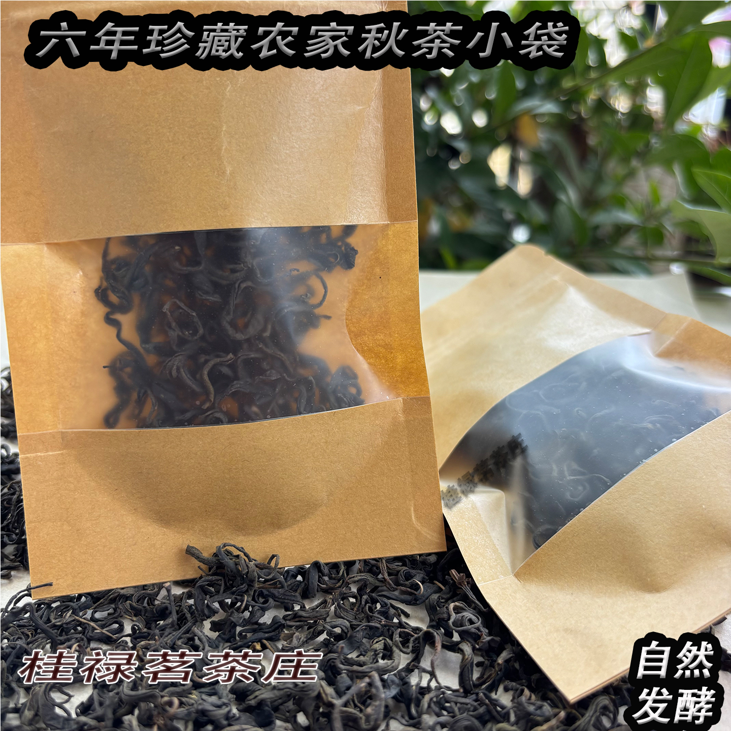 7克小袋试喝梧州特级六堡茶黑茶