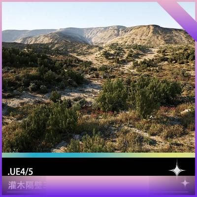 UE5虚幻游戏引擎户外场景低矮灌木沙漠戈壁草地石头模型工程文件