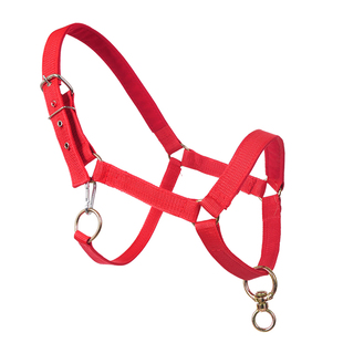 马笼头套拉马马笼牵马龙头马头套正品包邮马具大马小马矮马工具