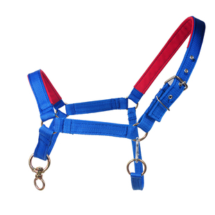 马笼嘴马嘴笼马笼头套拉马马笼牵马龙头马头套马具大马小马矮马