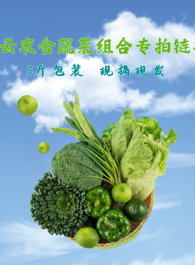 云云农舍蔬菜混装当季时令新鲜顺丰包邮5斤当天采摘现发