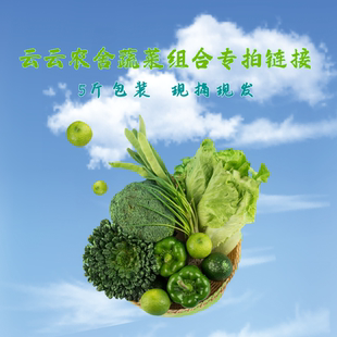 云云农舍蔬菜混装当季时令新鲜顺丰包邮5斤当天采摘现发